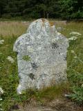 image of grave number 113074